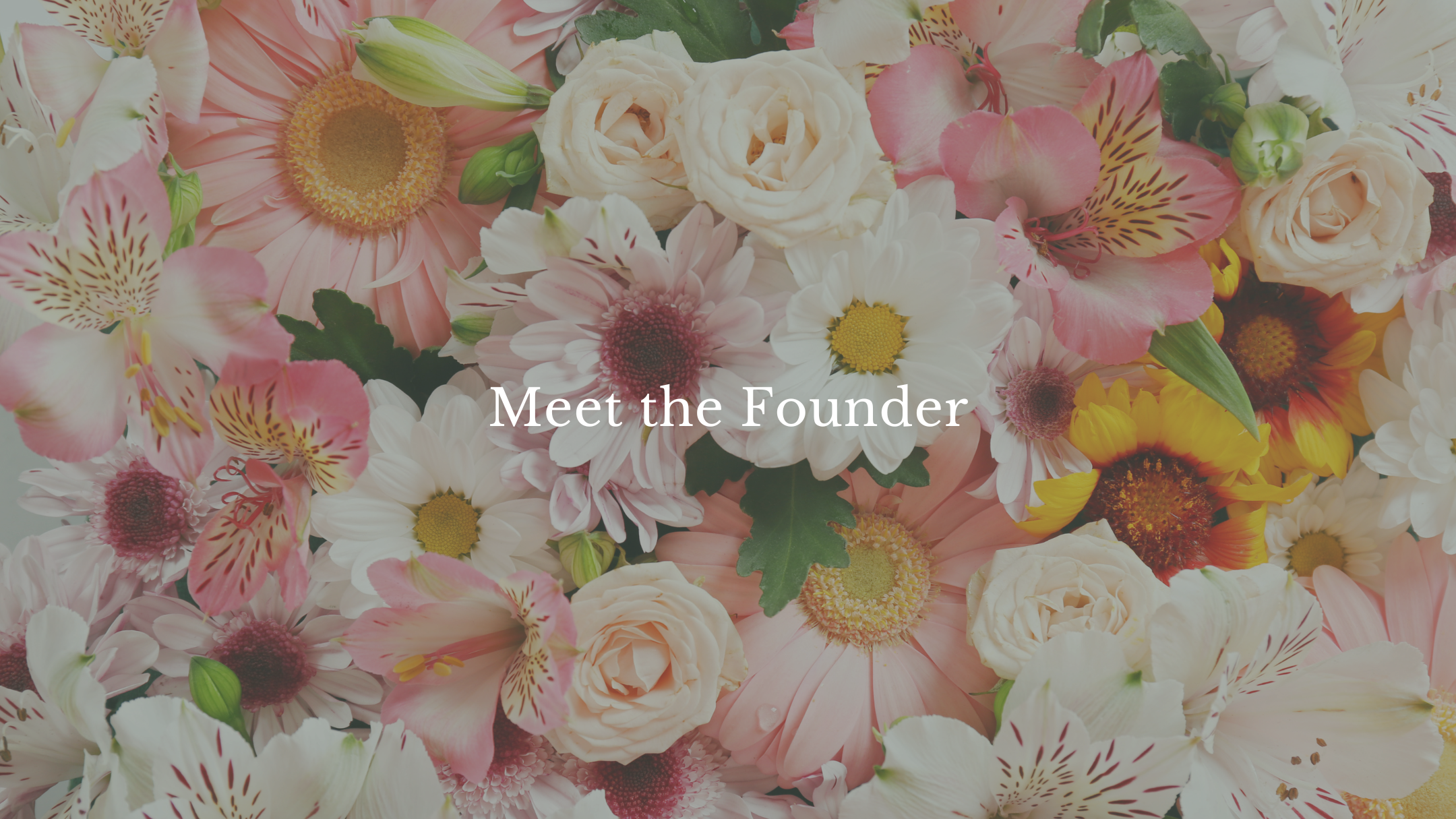 Meet the Founder