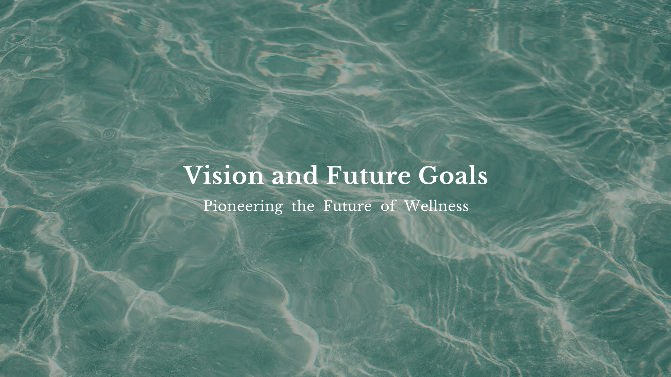 Vision and Goals