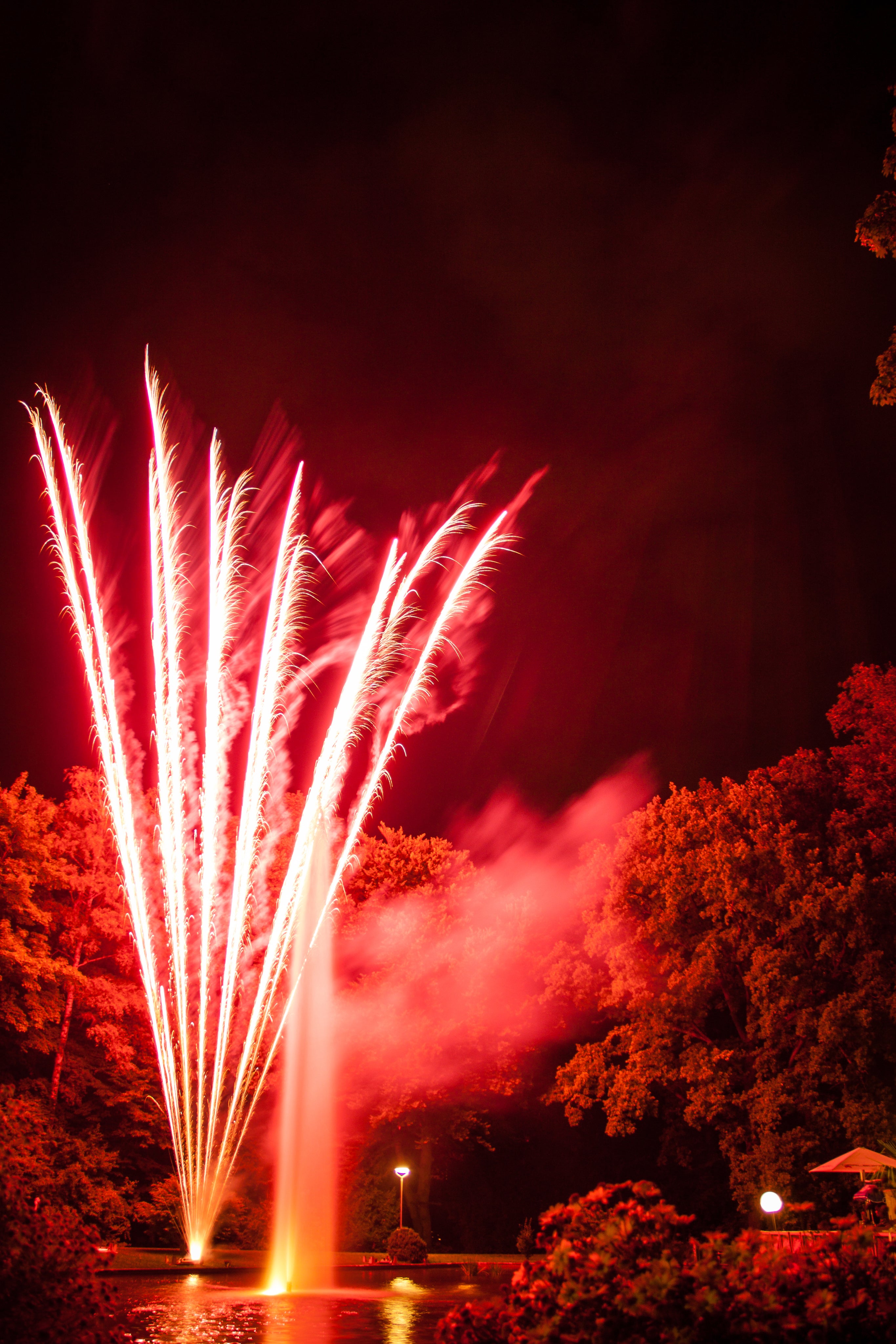 fireworks-reflected-in-a-pond-surrounded-by-trees.jpg